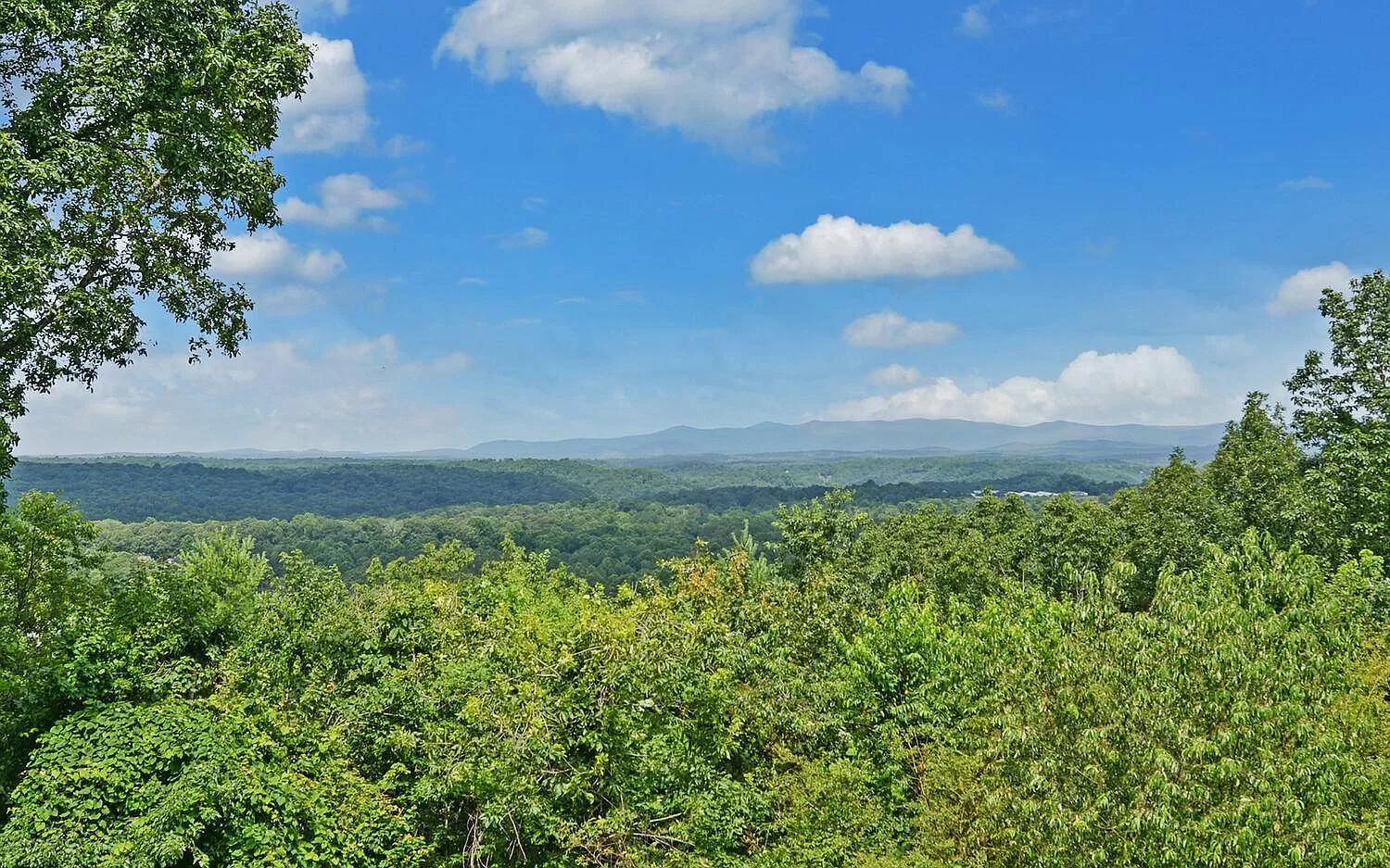 Birds Eye Cabin - Sunset & Starry Retreat Pet Friendly W Private Hottub, Fire Pit And Game Room Ellijay Ngoại thất bức ảnh