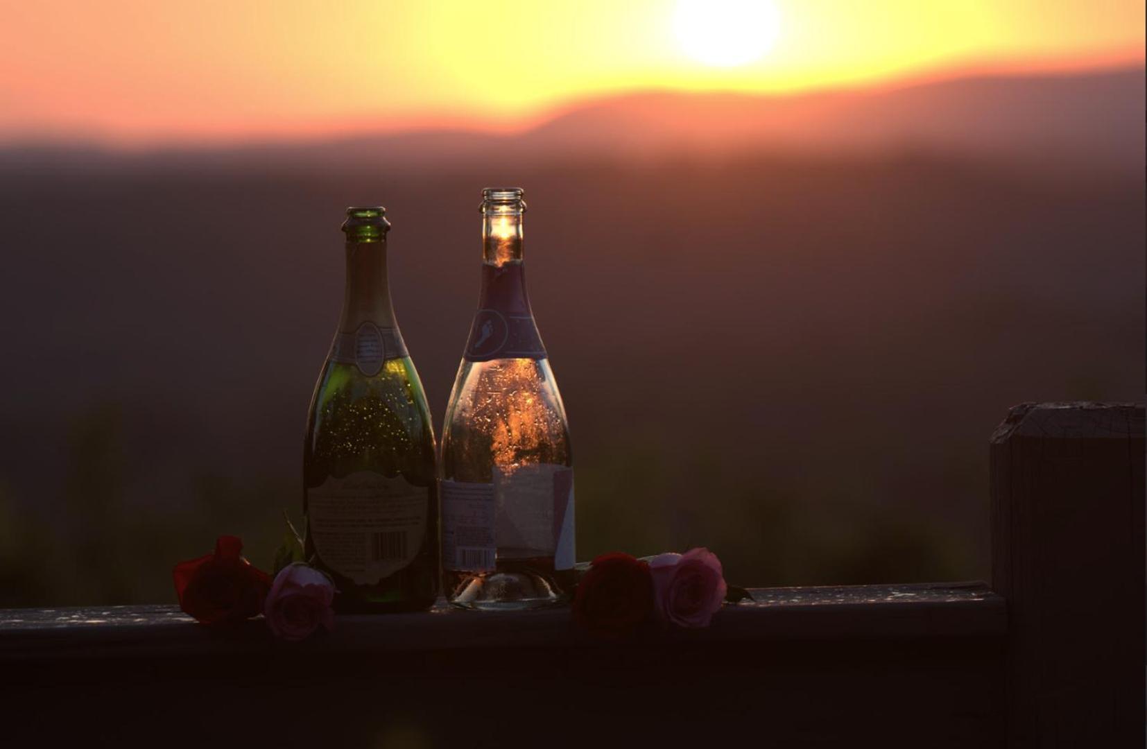 Birds Eye Cabin - Sunset & Starry Retreat Pet Friendly W Private Hottub, Fire Pit And Game Room Ellijay Ngoại thất bức ảnh